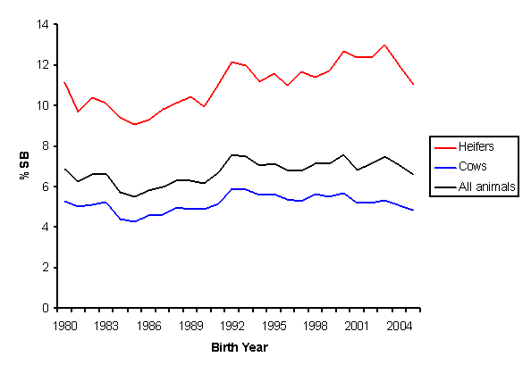Phenotypic trend for stillbirth, 1980-2005